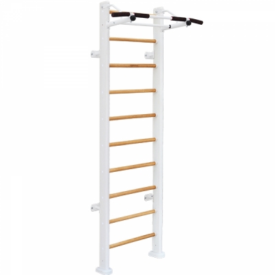 Детский спортивный комплекс ДСК Карусель Dolf (пристеночный)