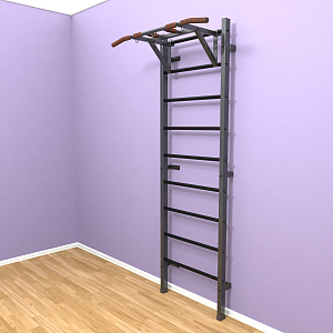 Шведская стенка "LittleSport" Pull-Up (черный*черный)