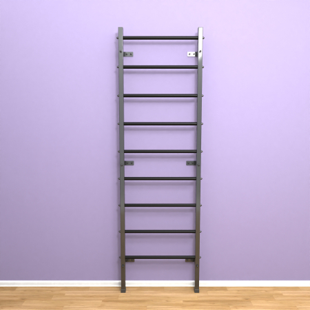 картинка Шведская стенка "LittleSport" (черный*черный) от магазина Лазалка