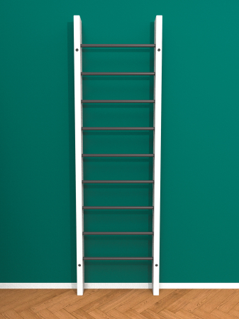 картинка Брашированная шведская стенка "Кастерли" Белый (Черные ступени) от магазина Лазалка